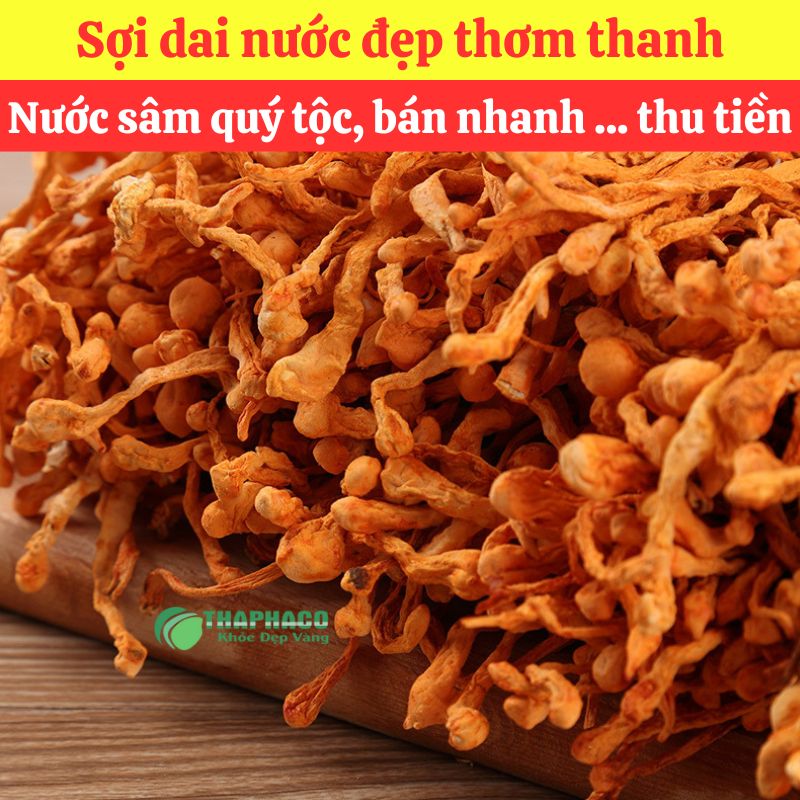 Sỉ đông trùng hạ thảo nấu nước sâm