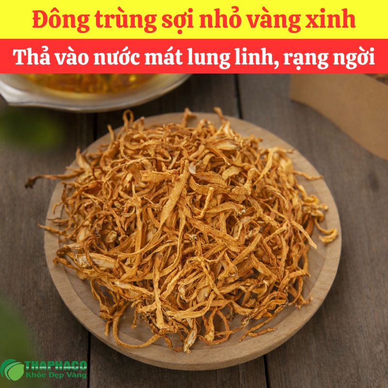 Đông trùng hạ thảo sợi nhỏ của thảo dược THAPHACO