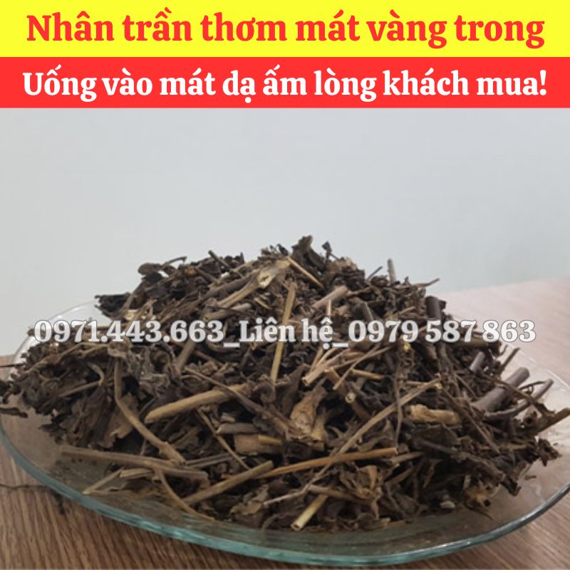 Sỉ nhân trần nam tại TP.HCM