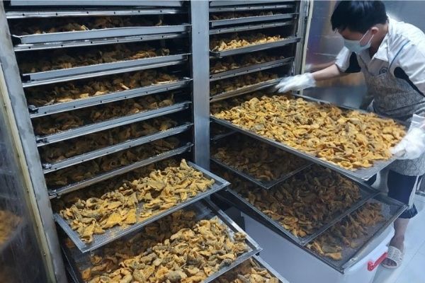 Cung cấp sỉ độc hoạt 