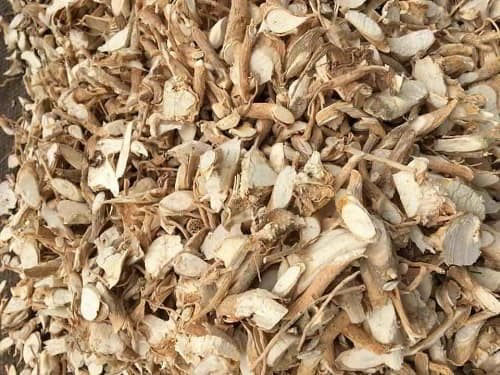 Thaphaco cung cấp củ đinh lăng khô 