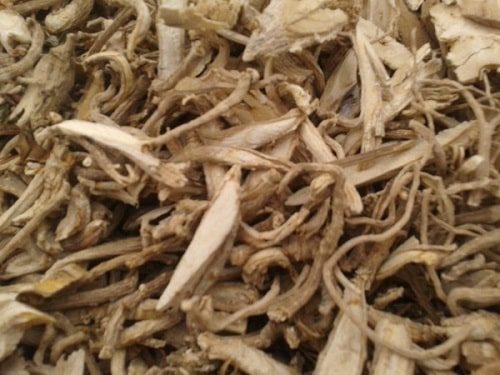 Sỉ chất lượng củ đinh lăng chất lượng