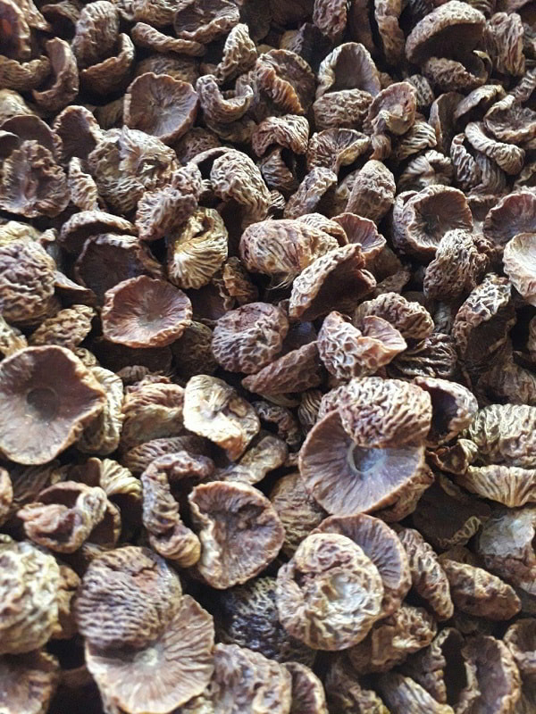 Nguồn sỉ cau tươi khô giá tận xưởng