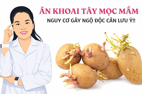 Ăn khoai tây mọc mầm nguy hiểm