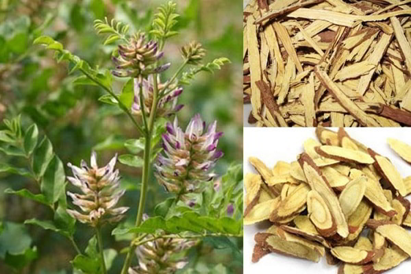 Tổng kho phân phối Cam thảo