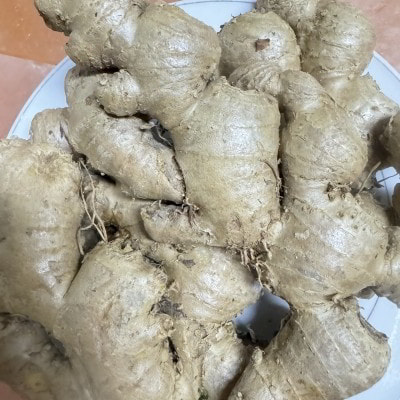 Sỉ gừng số lượng lớn