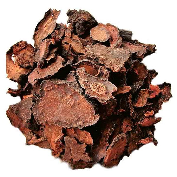 Hà thủ ô sỉ số lượng lớn