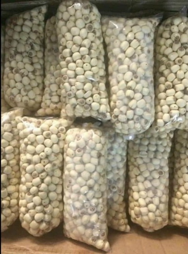 Sỉ hạt sen tại THAPHACO