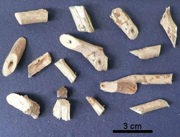 Sỉ xích đồng nam cho các nhà máy