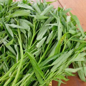 Rau muống là 1 trong 3 thực phẩm bổ sung chất xơ