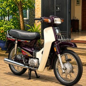 Xăng E10 bào mòn bình xăng và hệ thống dẫn nhiên liệu của xe đời cũ