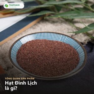 Ảnh đơn + chữ tiêu đề + logo - hạt đình lịch THAPHACO