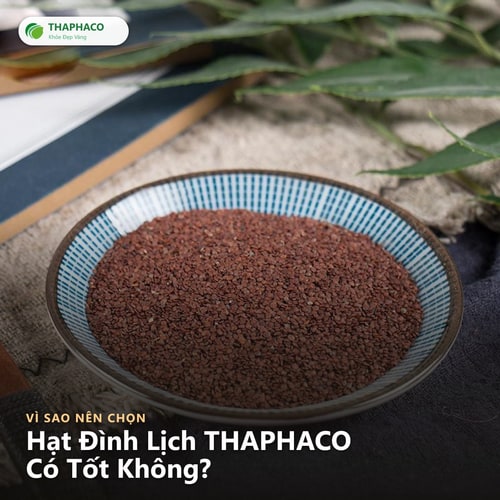 Hạt đình lịch thaphaco có tốt không