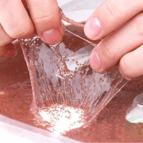 Trải nghiệm thực tế khi dùng hạt đình lịch THAPHACO