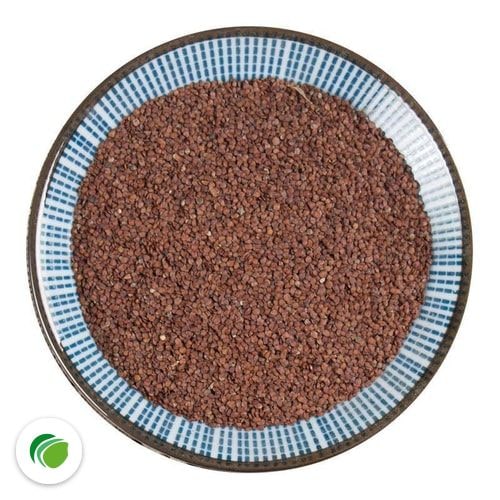 Đĩa hạt nhìn từ trên, viền xanh