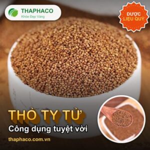 Thỏ ty tử - Những Công Dụng Tuyệt Vời Của Thỏ Ty Tử