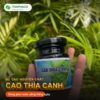 Hũ cao thìa canh nguyên chất tại THAPHACO