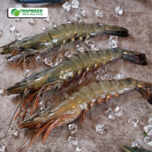 Tại sao nên cắt đỏ đầu tôm trước khi bảo quản