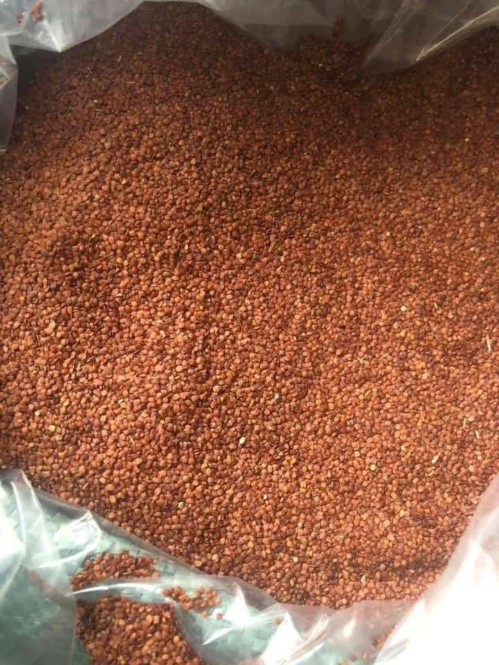 Nơi cung cấp nguyên liệu sản xuất mồi câu cá